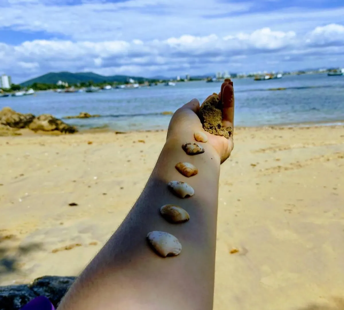 Gasthuis Gui E Lu Acomodacoes Penha  Brazilië